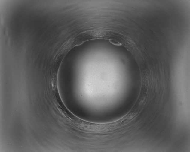 X0000054420044200507291300