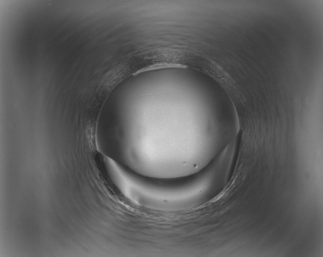 X0000054420045200507291300