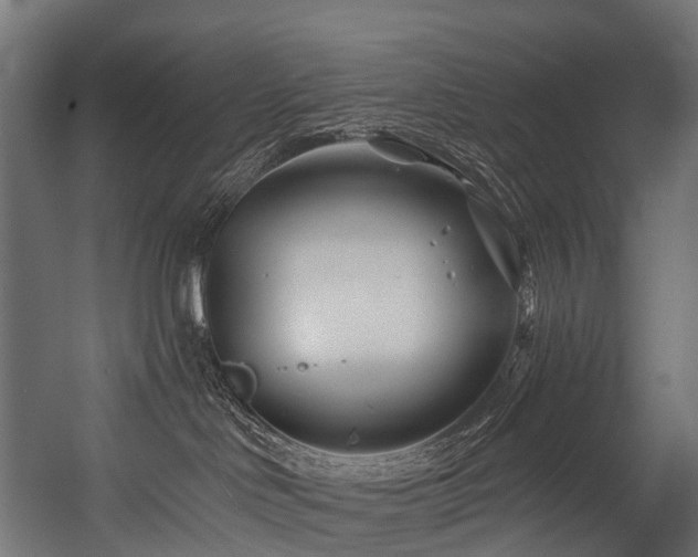 X0000054420046200507291300