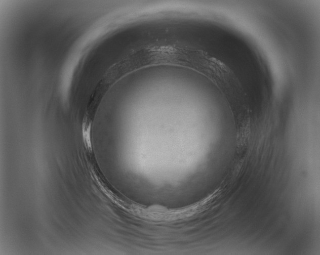 X0000054420047200507291300