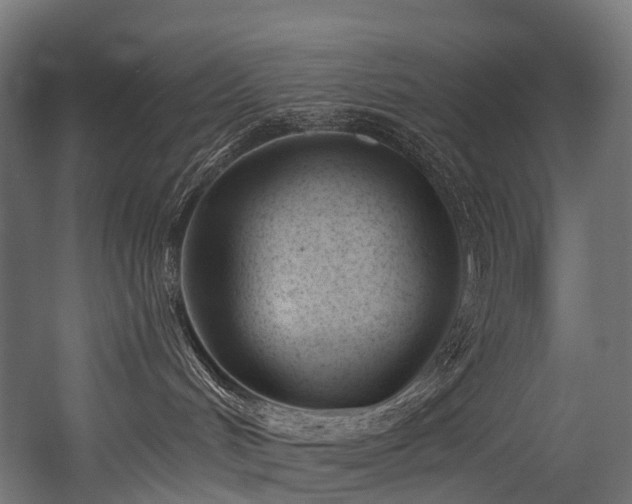 X0000054420048200507291300