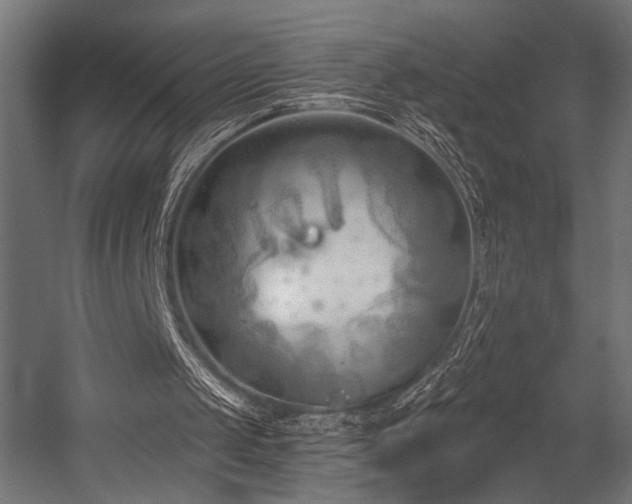 X0000054420049200507291259