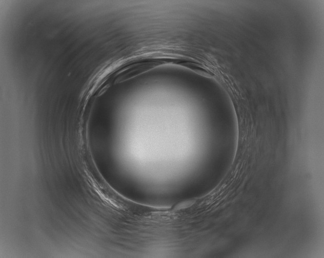 X0000054420050200507291259