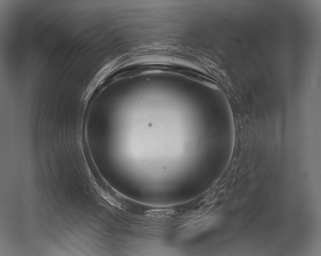 X0000054420051200507291259