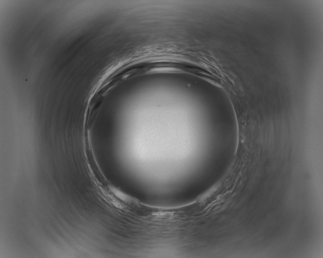 X0000054420052200507291259