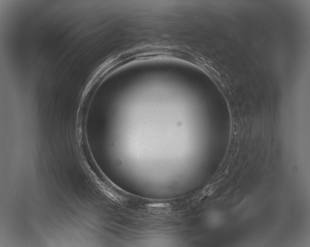 X0000054420053200507291300