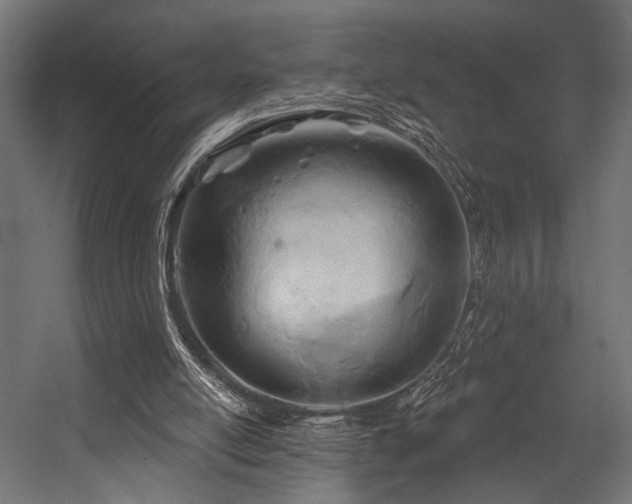 X0000054420054200507291300