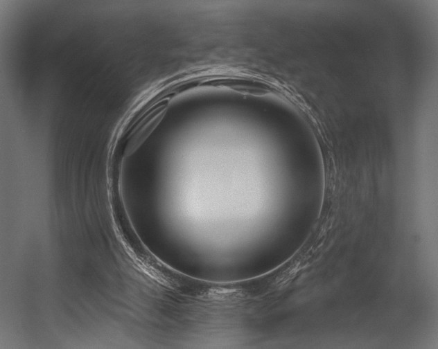 X0000054420055200507291300