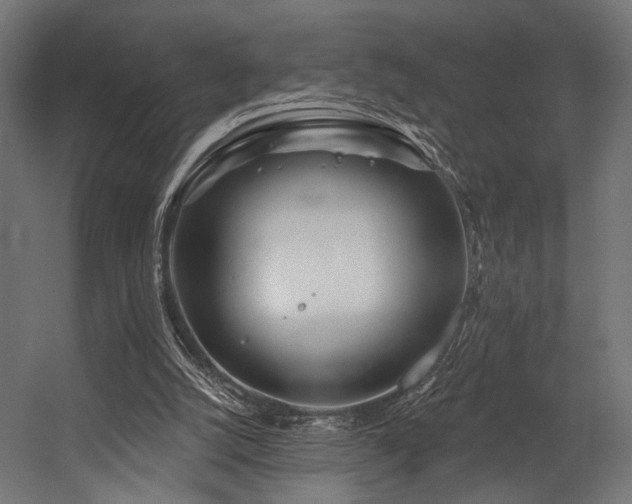 X0000054420056200507291300