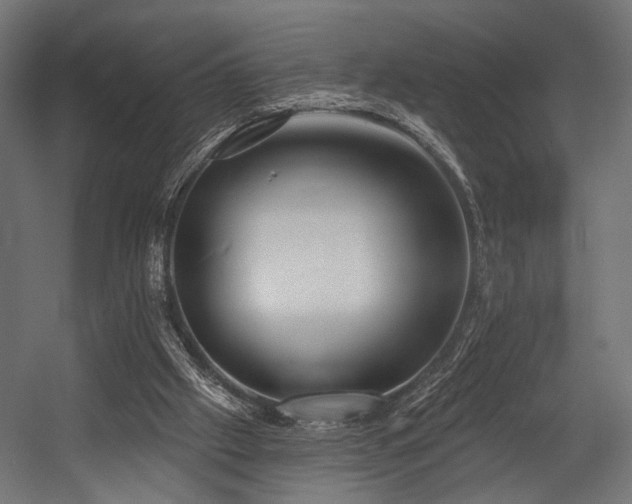 X0000054420057200507291300