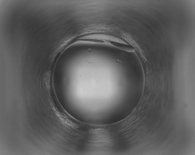 X0000054420058200507291300