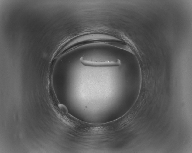 X0000054420059200507291300