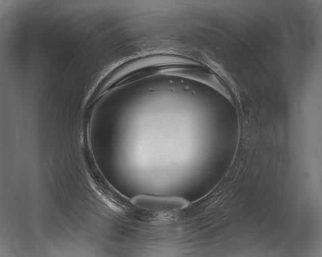 X0000054420060200507291300