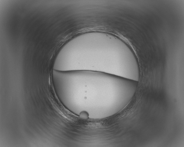 X0000054420061200507291300