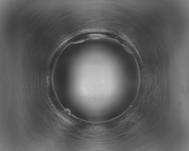 X0000054420063200507291300