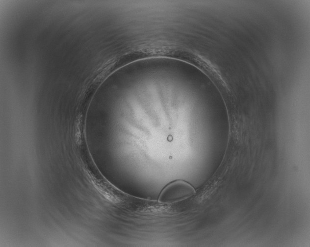 X0000054420065200507291300