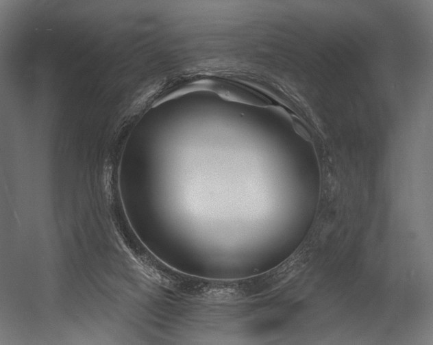 X0000054420066200507291300