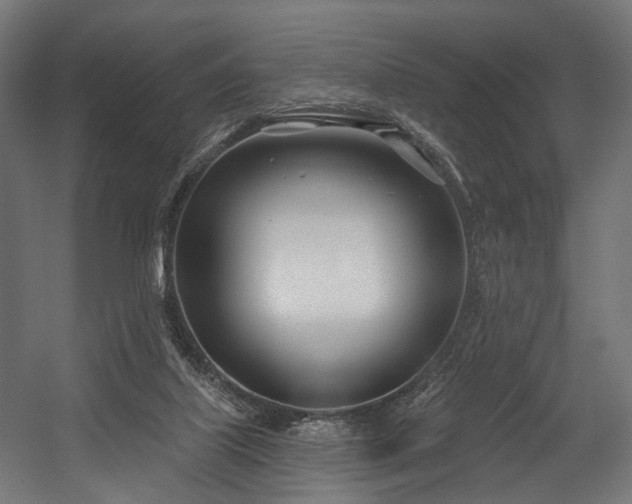 X0000054420067200507291300