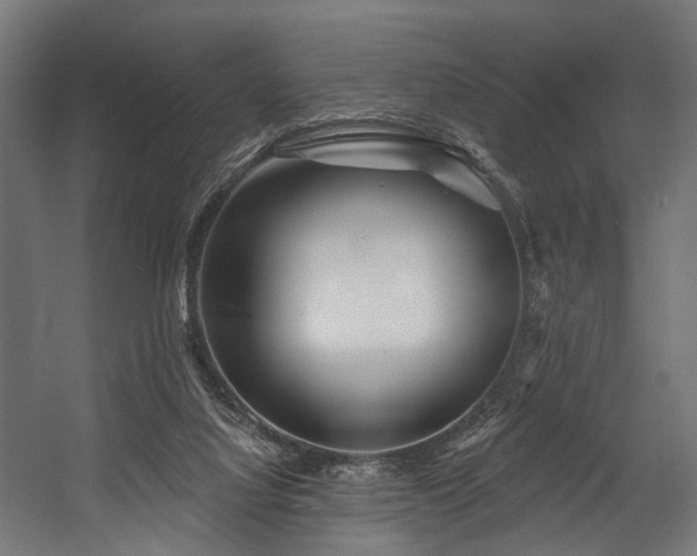 X0000054420068200507291300