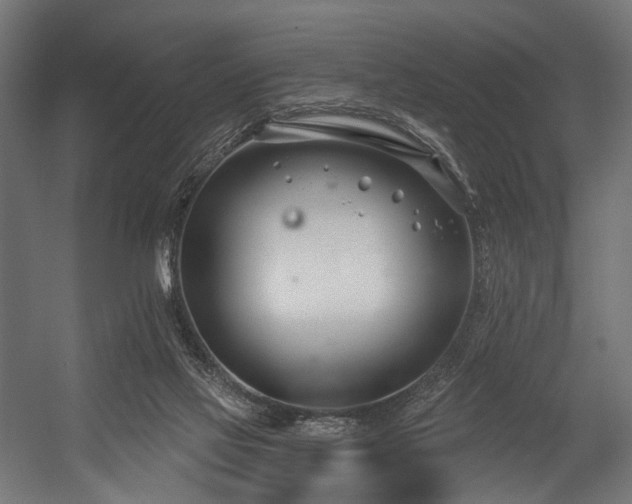 X0000054420069200507291300