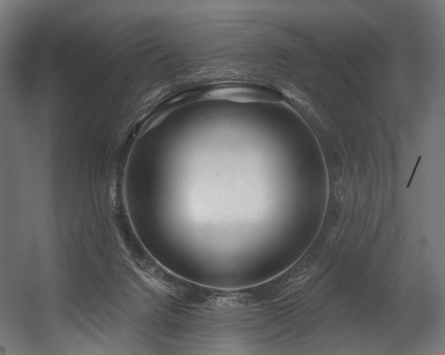 X0000054420072200507291300