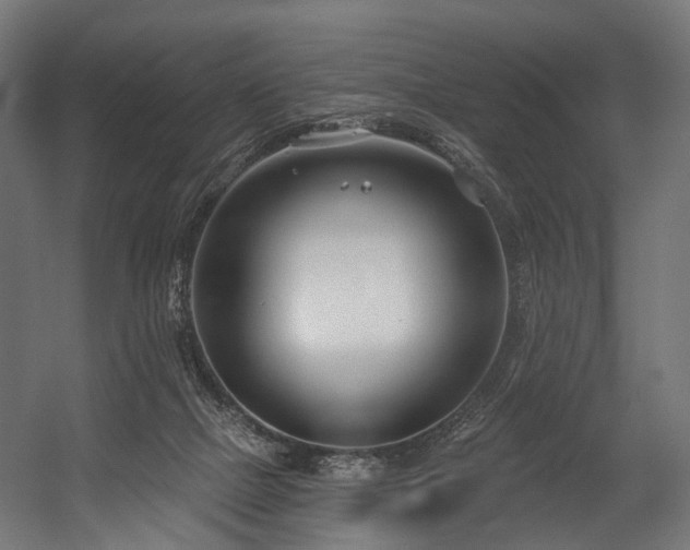 X0000054420073200507291300