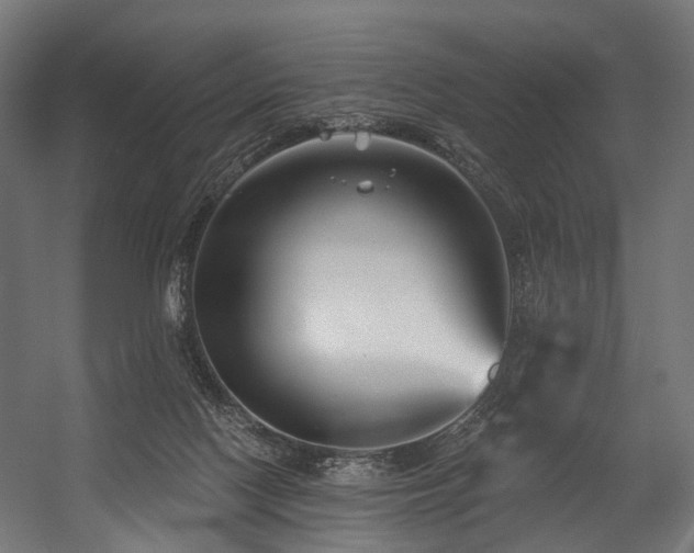 X0000054420074200507291300