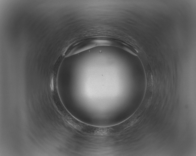 X0000054420076200507291300