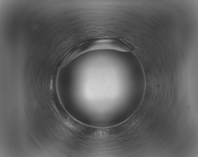 X0000054420080200507291300