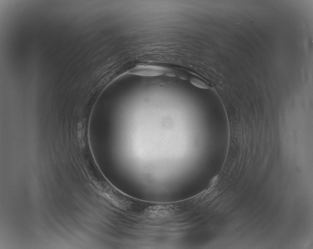 X0000054420082200507291300