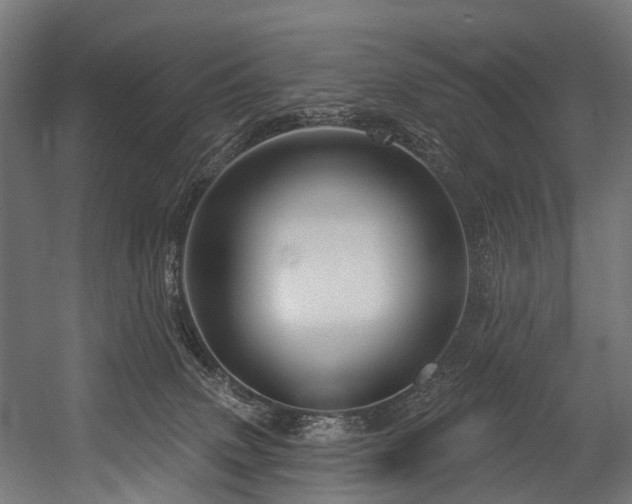 X0000054420083200507291300