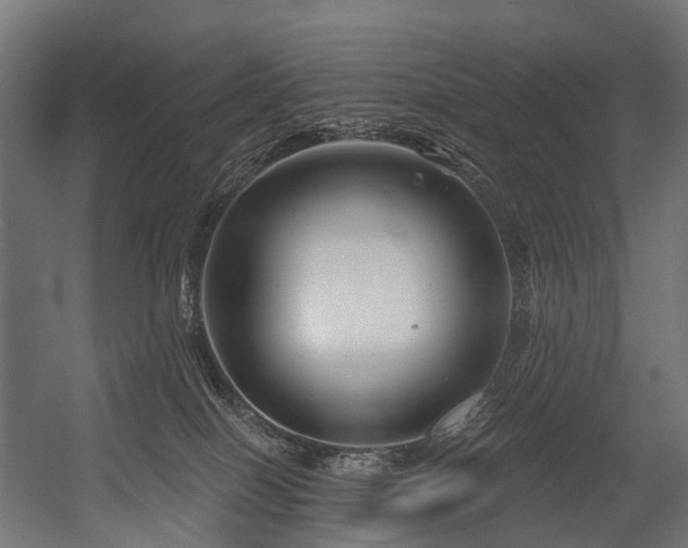 X0000054420086200507291300