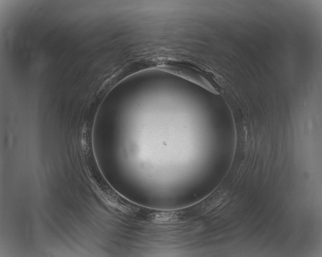 X0000054420088200507291300