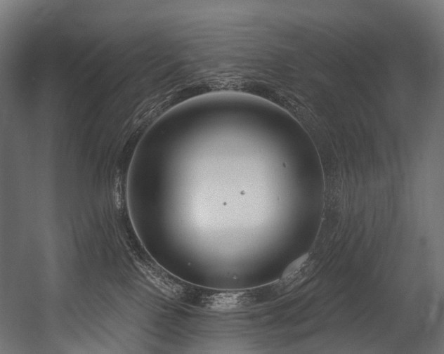 X0000054420090200507291300