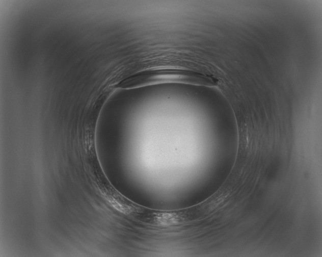 X0000054420091200507291300