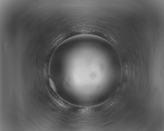 X0000054420092200507291300