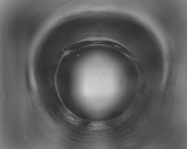 X0000054420093200507291300