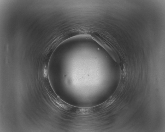 X0000054420095200507291300