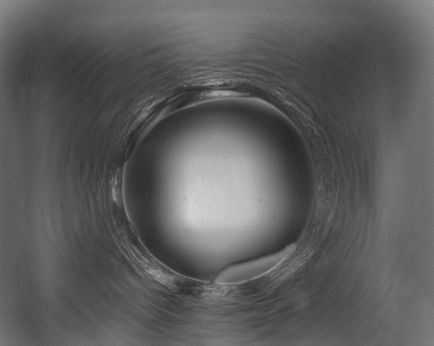 X0000054420096200507291300