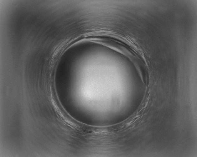 X0000054420097200507291259