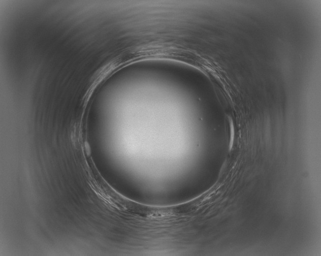 X0000054420099200507291259