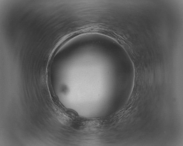 X0000054420100200507291259