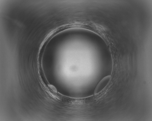 X0000054420102200507291259