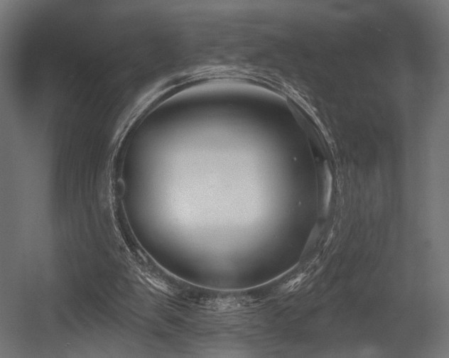 X0000054420103200507291259