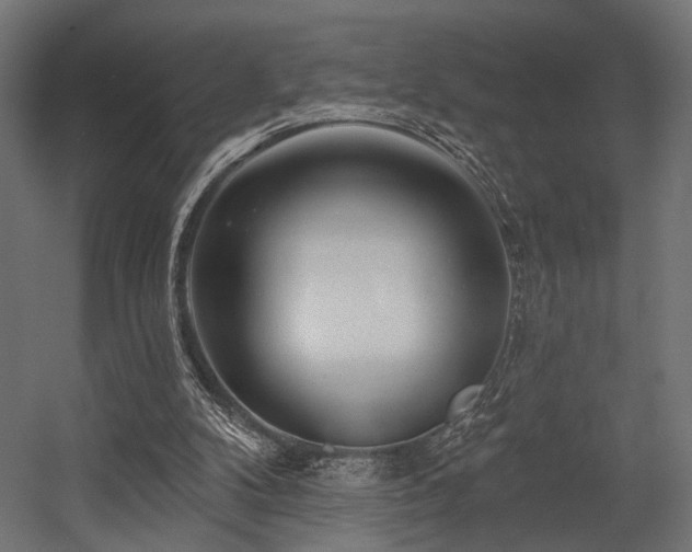 X0000054420104200507291259