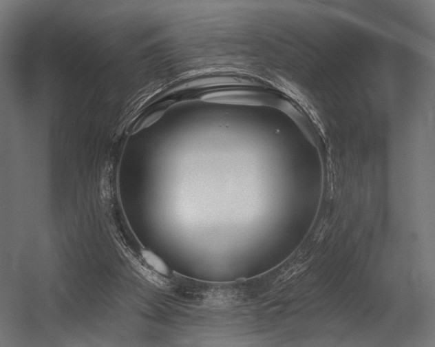 X0000054420105200507291259