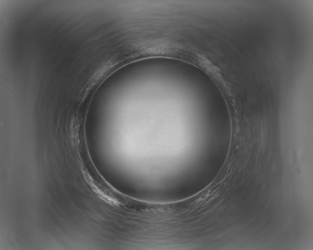 X0000054420106200507291259