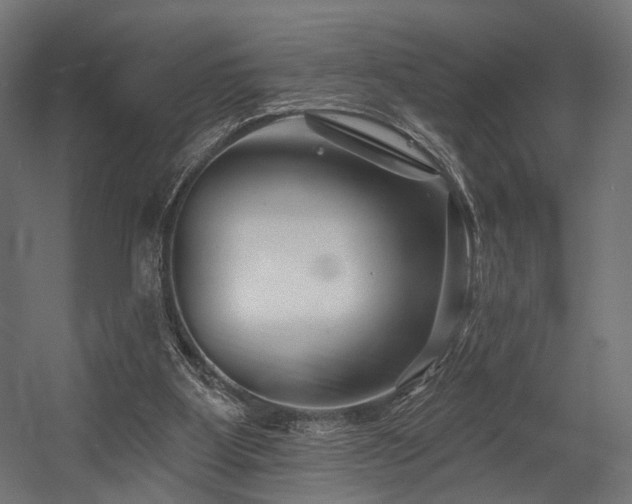 X0000054420107200507291259