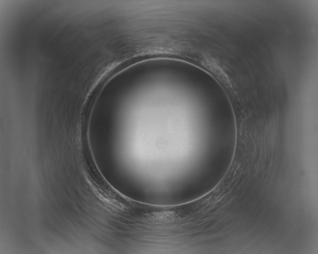 X0000054420108200507291259