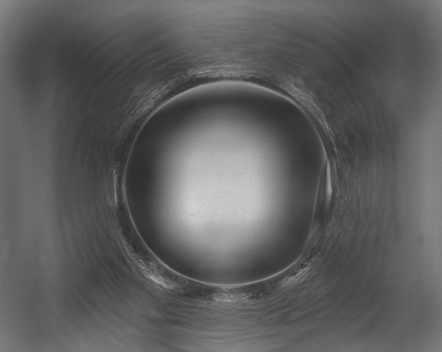 X0000054420109200507291259